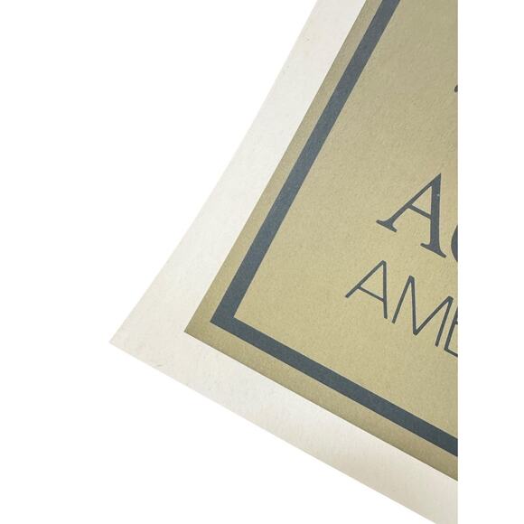 VTG Mount Pleasant Vineyards Poster 1981 Augusta Missouri State 10th Anniversary - Picture 3 of 8